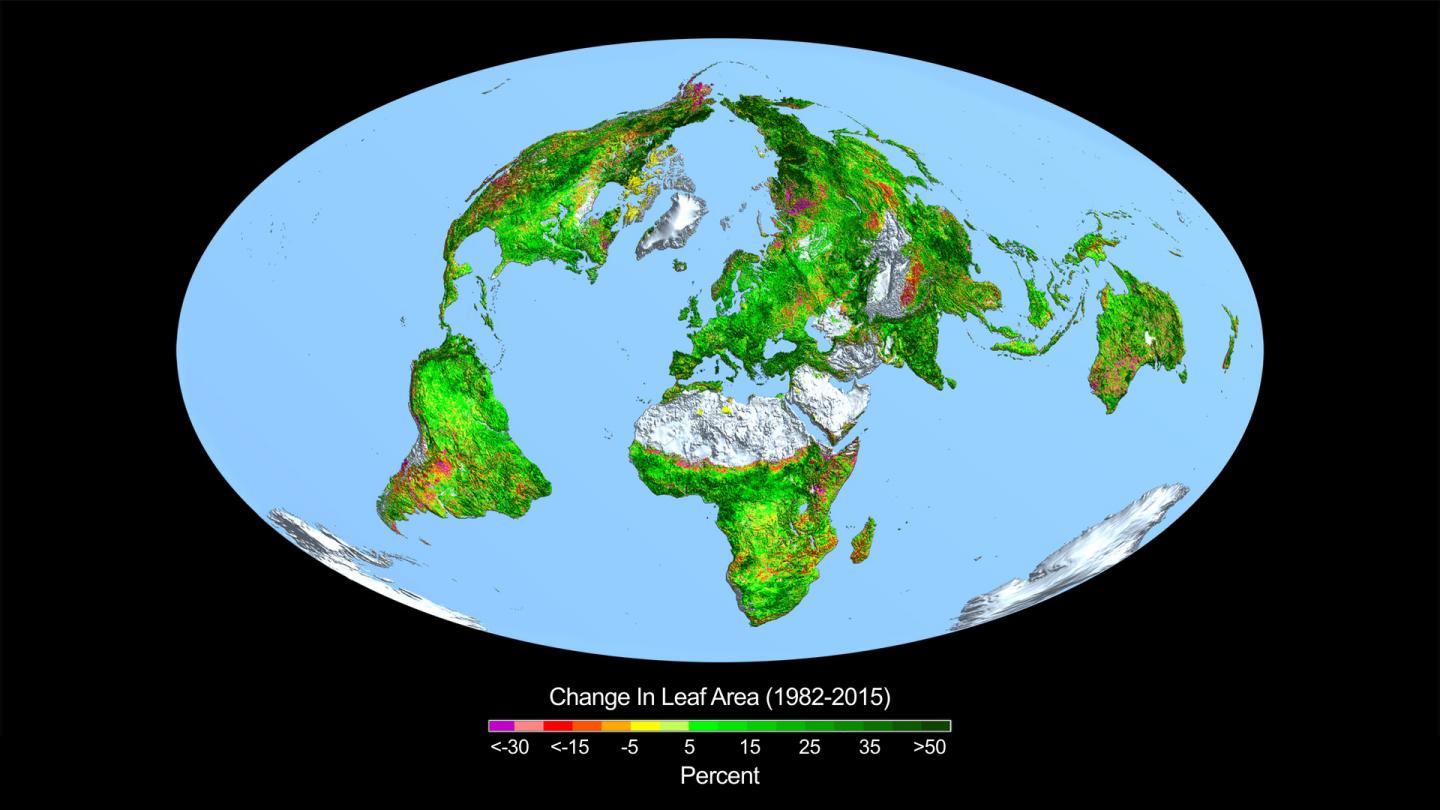 Change in Leaf Area across the Globe from 1982-2015
