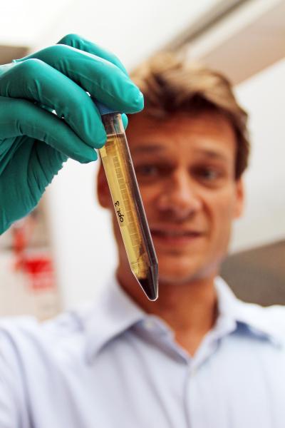 Hanczyc, University of Southern Denmark