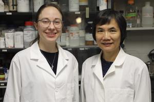 Looking to rice for 'clean label' ingredients - Ya-Jane Wang, Annegret Jannasch
