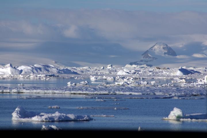 Antarctic Warming Stimulates Diversity of Soil Fungi