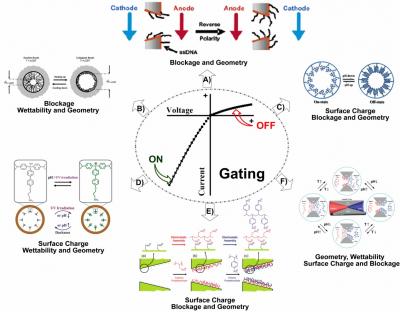 Transportation Property in a Confined Region