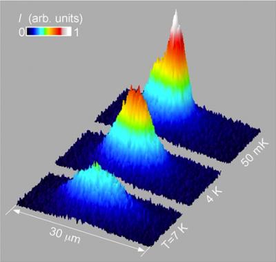 Trapped Excitons Form Coherent Matter Wave