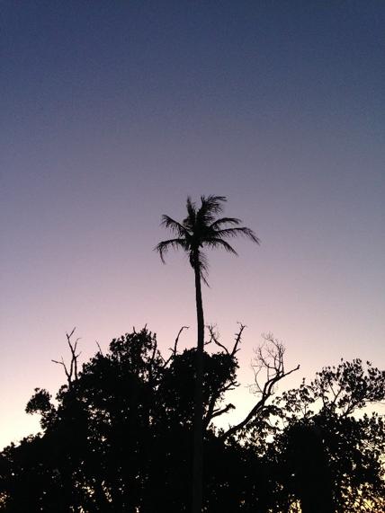 Helmintex Assay Detects Low Intensity Schistosomiasis Infections