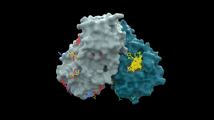 Molecular view of a key component of SARS-CoV-2 Virus