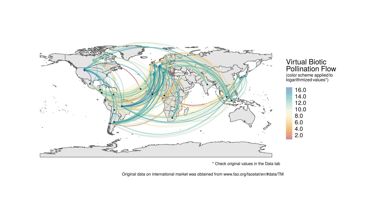 Virtual Pollination Flow from developing countries to Europe, North America, and Japan.