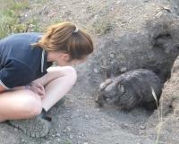 Dr. Alyce Swinbourne and Wombat