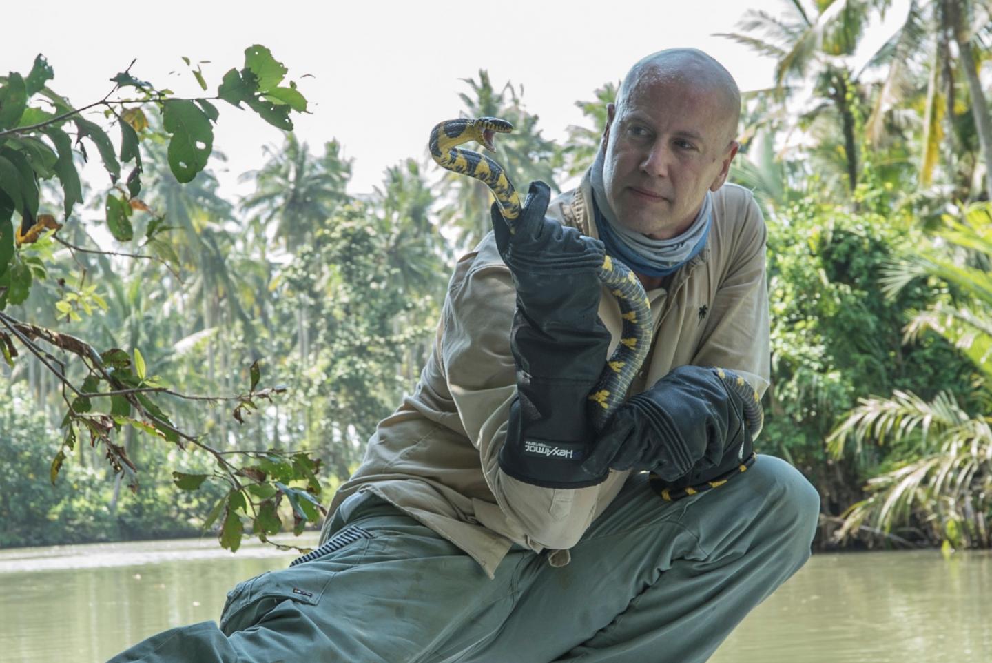 Professor Bryan Fry w/ a Black and Yellow Cat-Eyed Snake