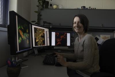 Federica Brandizzi, Michigan State University 