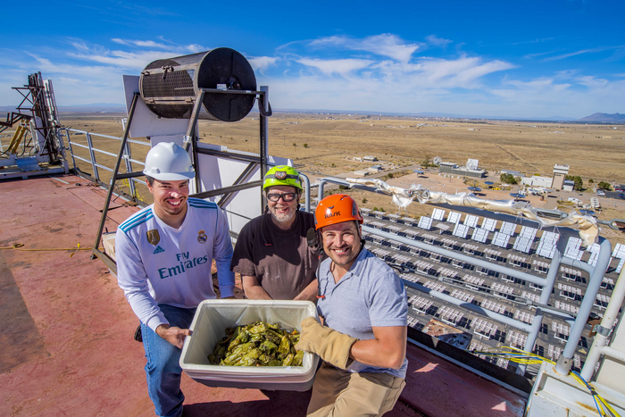 The team with sun-roasted green chile