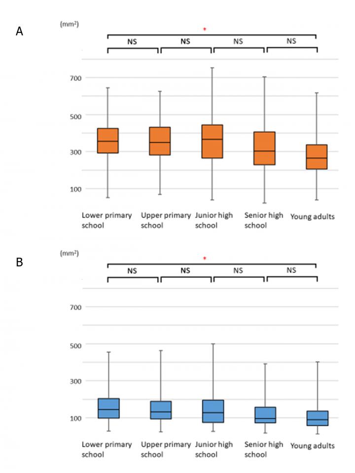 Figure 2. Age-Dependent Changes in the Adenoids (Ad) and Tonsils (Tn)