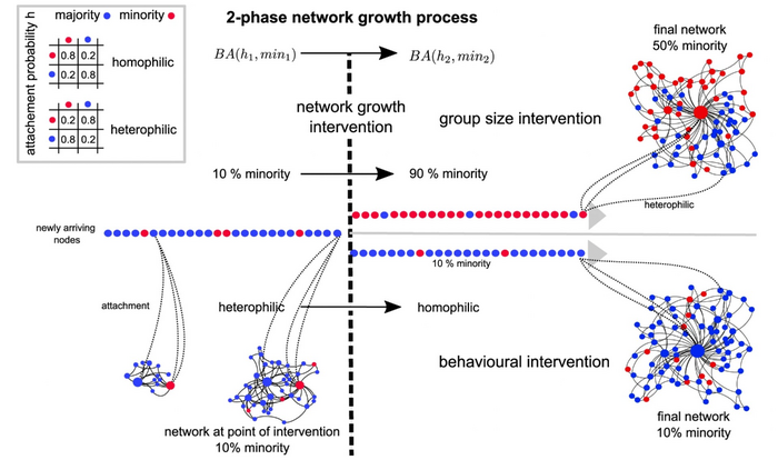 Modelling interventions with a two-phase network growth model