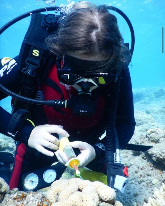 The researchers analyzing the secretions of marine animals.