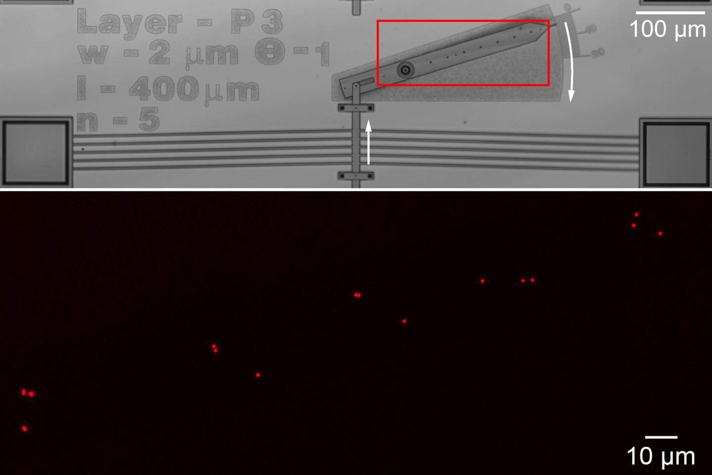 Measuring Nanoscale Motion Through Microscale Machine