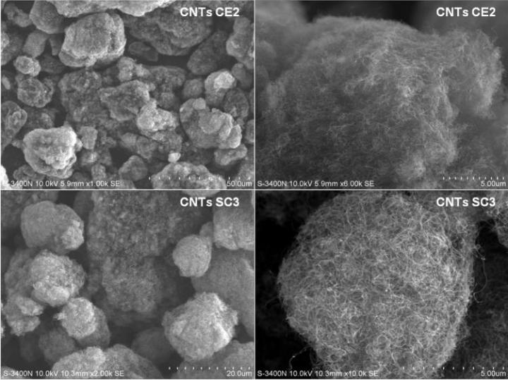 SEM Images of CNTs