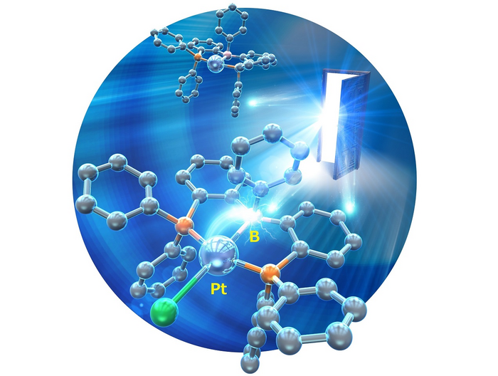 Molecular structure of anionic Pt(0) complexes