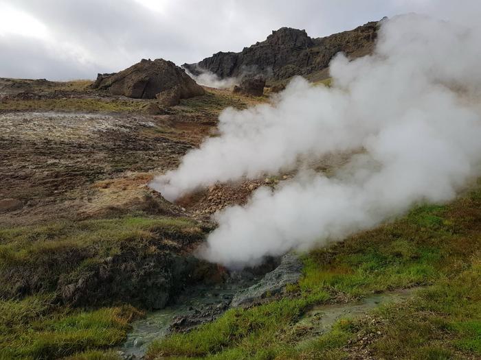 Subarctic grassland undergoing natural geothermal warming in Iceland.