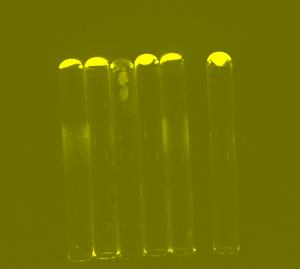 Polyester gels in test tubes following synthesis