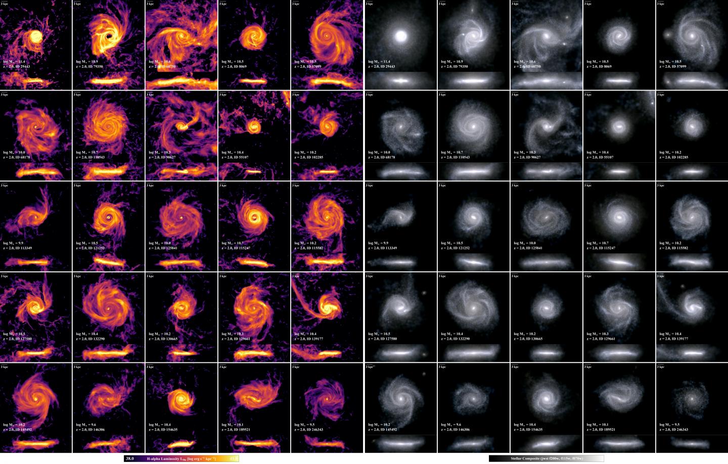 An ensemble of twenty-five disk galaxies