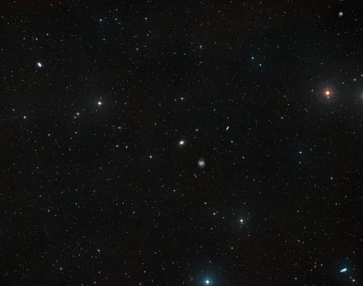 Ground-Based View of the Sky around the Galaxies NGC 1052-DF4 NGC & 1052-DF2