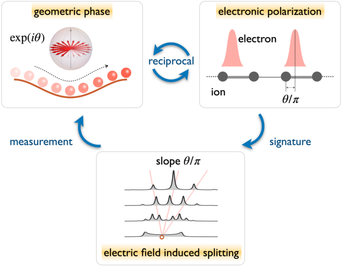 Figure 1 | Working principle of the phase measurement.