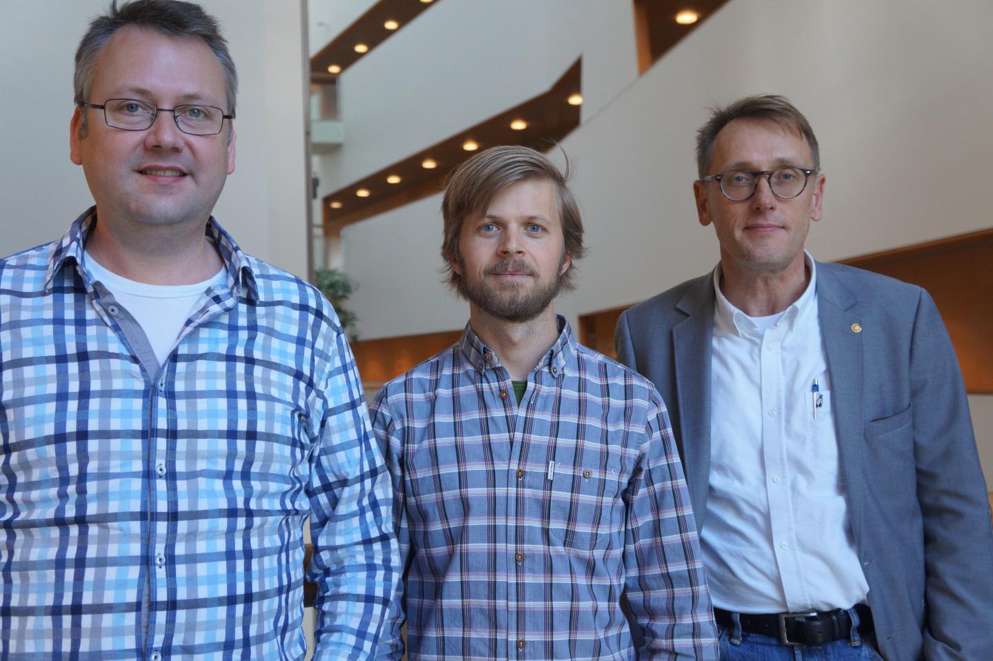 Tomas L&ouml;fwander, Mikael H&aring;kansson, Mikael Fogelstr&ouml;m