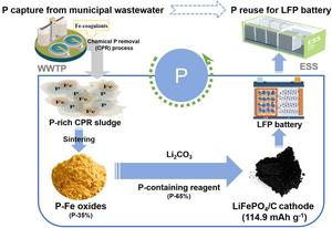 Graphical abstract