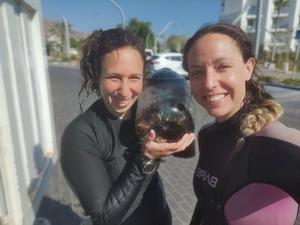 Two Ph.D. candidate Shani Shoham (right) and Raz Marom (Moskovich) happy to finally collect a sponge sample (in the bag) after several dives.