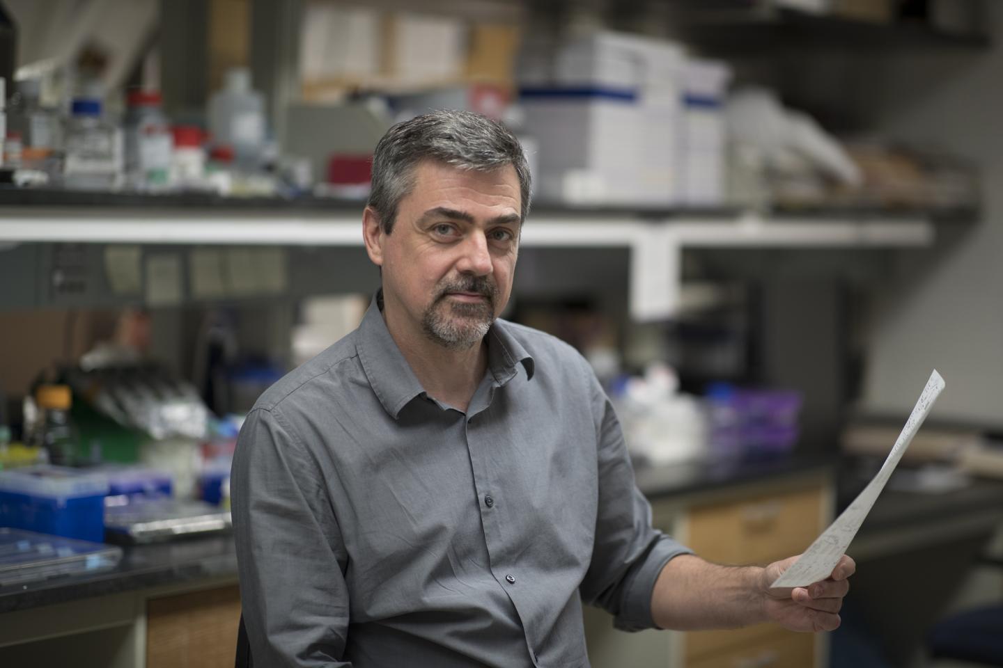 Discovery Reveals How Obesity Causes Disease -- and two Ways to Stop It 2