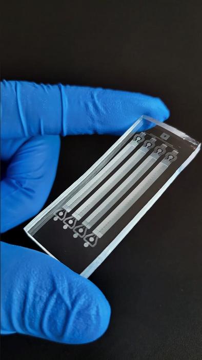 Close up view of the stem cell sorting chip (Photo: SMART CAMP)