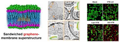 The Sandwiched Superstructure and Its Potent Application in Drug Delivery