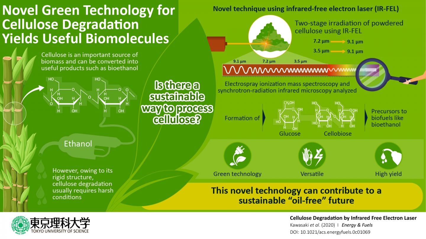 Generate Biofuels