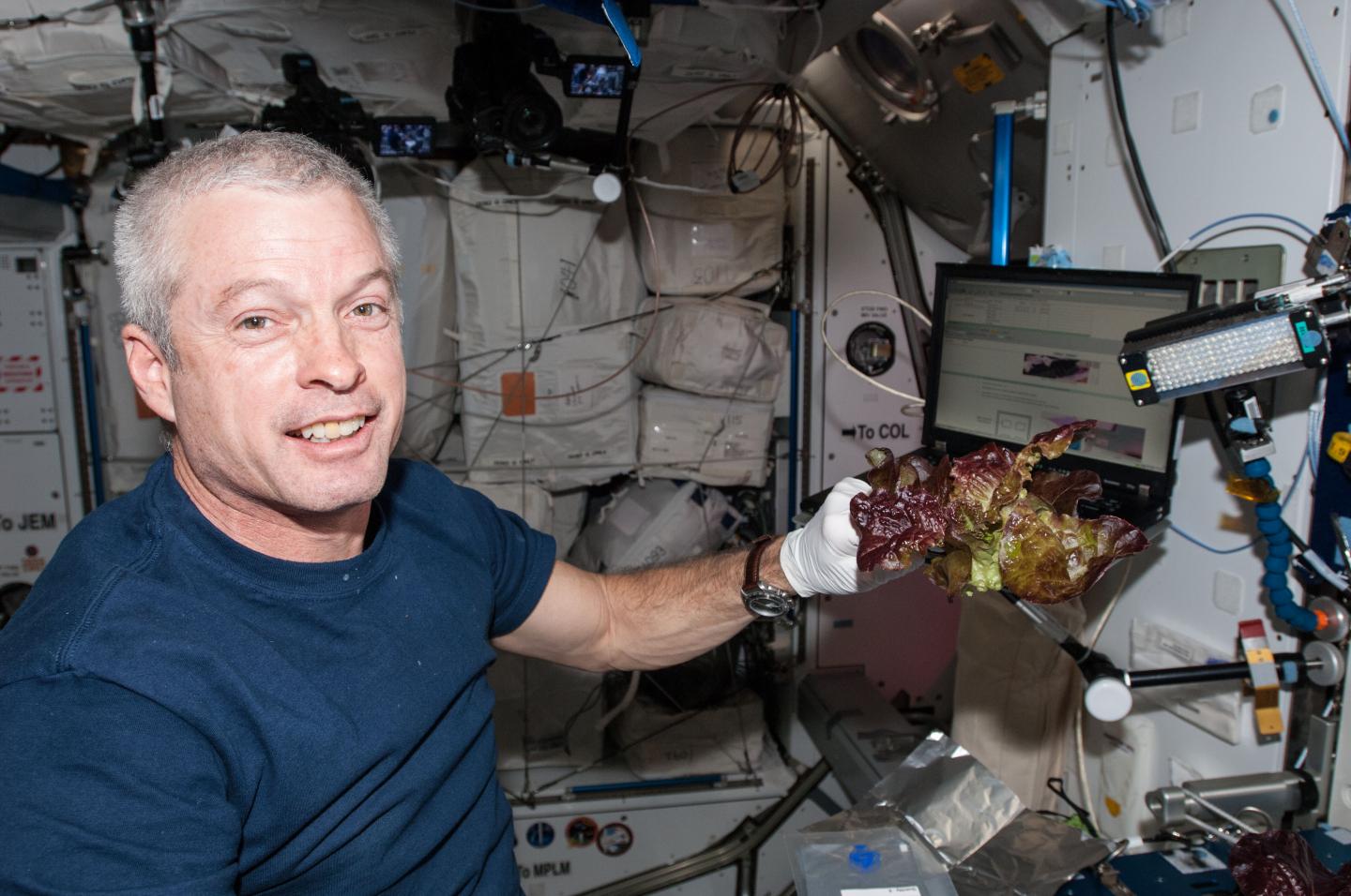 Produce From ISS