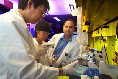 Medical College of Georgia Researchers