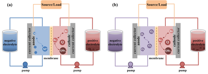 Schematic diagrams of Br-FBs