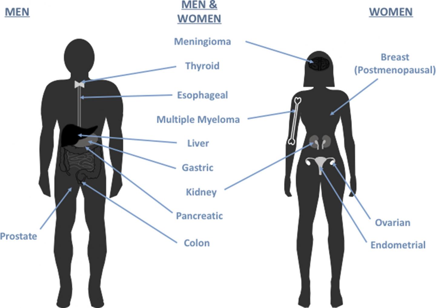 The Connection between Diet, Obesity, and Cancer: Nutrition Experts Explore the Evidence