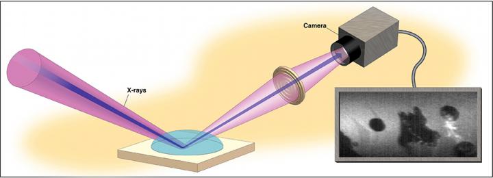 Optical Configuration of the X-ray Reflection Interface Microscope