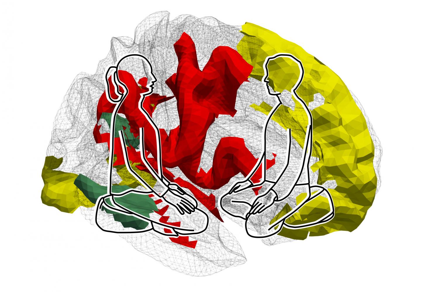 Mental Training Modifies Brain Structures