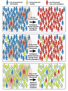 immunization graphic