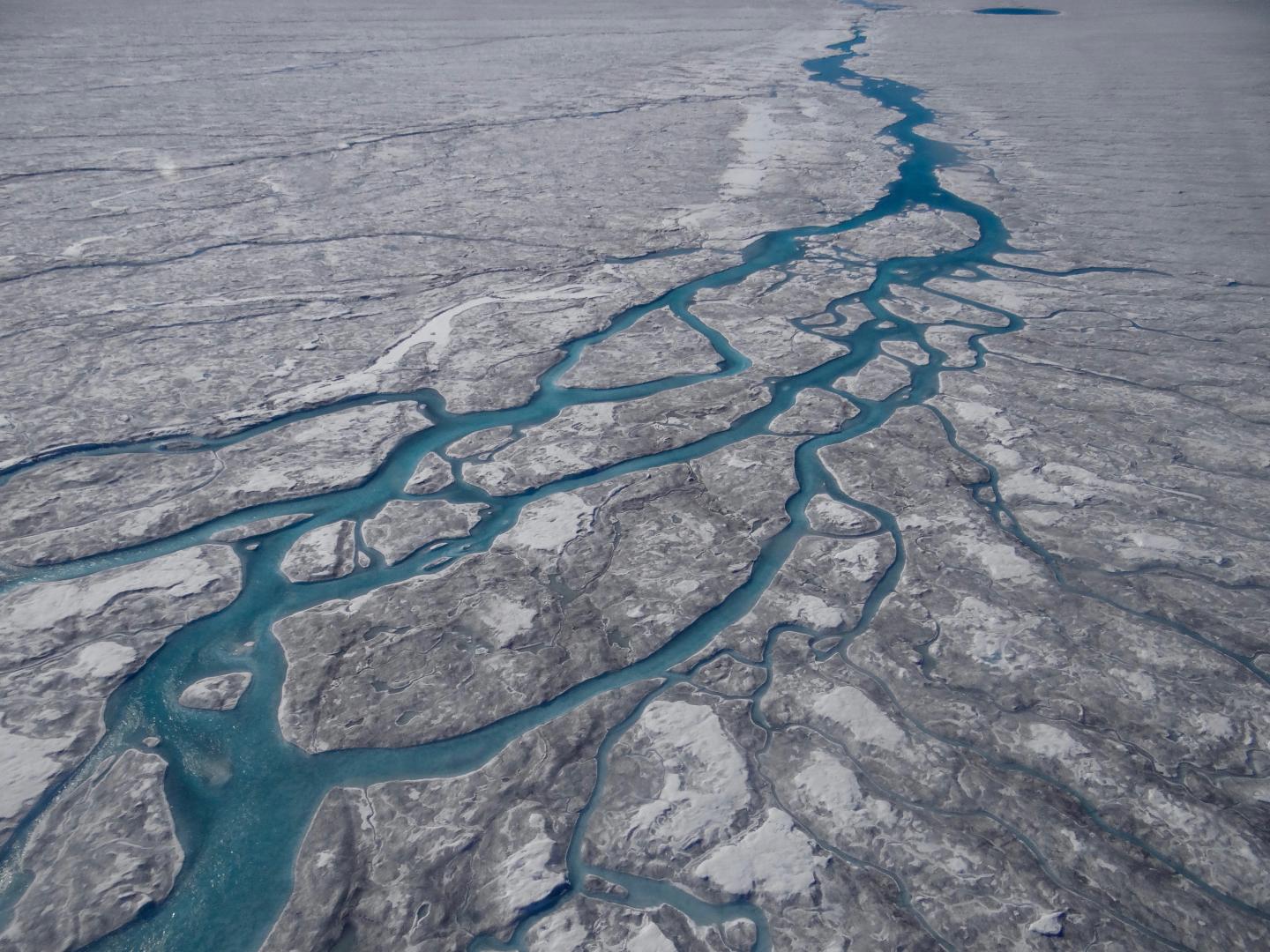 Darkening and Melting of the Greenland Ice Sheet