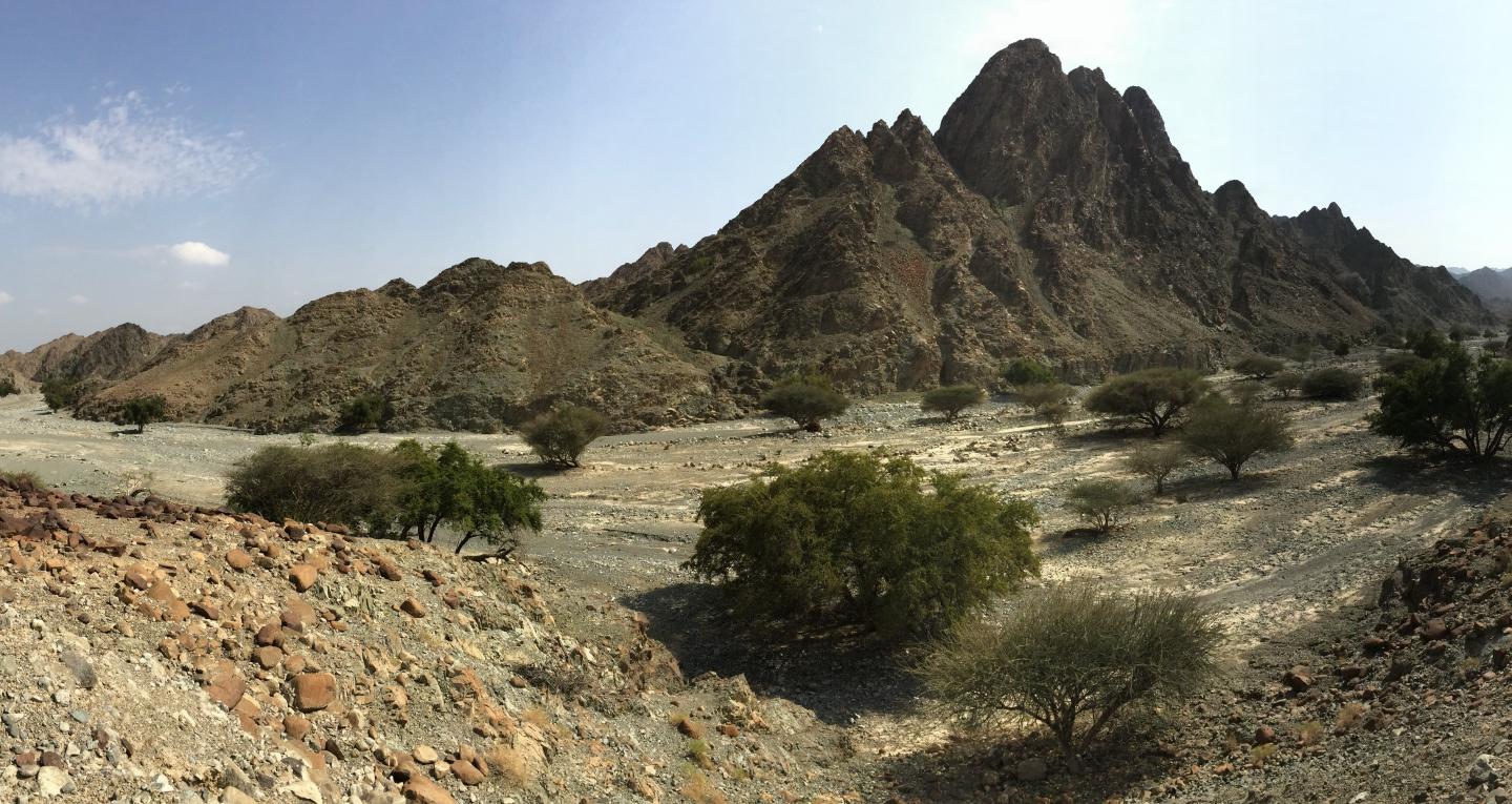 Exposures of oceanic crust in Oman