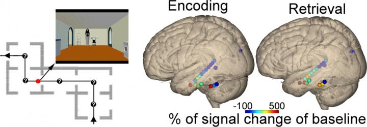 Path through A Virtual House