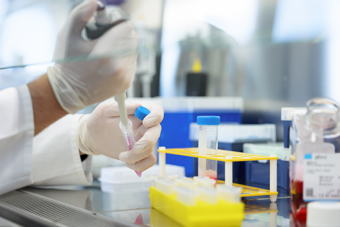 Working in the cell culture laboratory