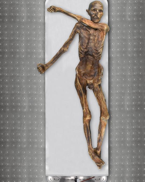 The Tyrolean Iceman is known as one of the oldest human glacier mummies CREDIT Südtiroler Archäologiemuseum EURAC Marco Samadelli-Gregor Staschitz