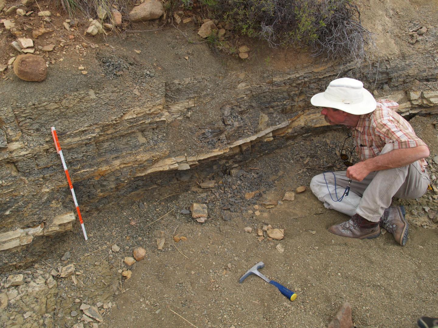 Ancient Volcanic Ash Deposits Help Clarify Mass Extinction Event