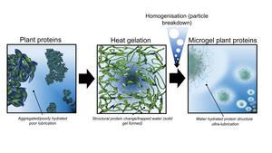 Key stages of microgelation