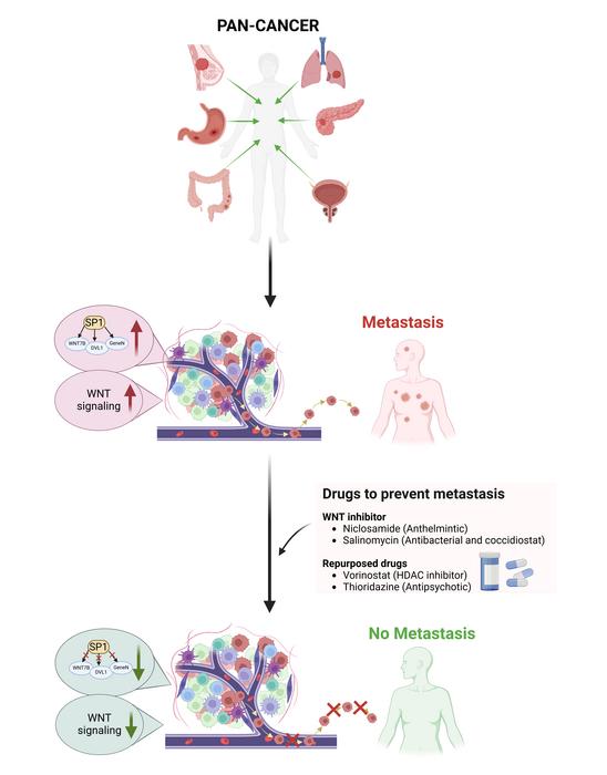 PANCANCER Metastasis Summary Figure