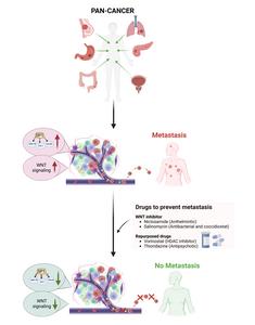 PANCANCER Metastasis Summary Figure