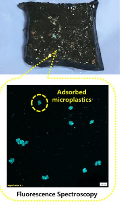 Microplastic adsorption on hydrogel and fluorescent-tagged microplastic detection via spectroscopy