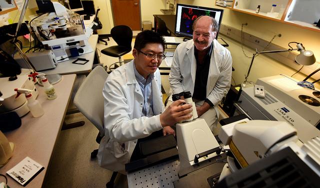 Yong Teng and John Cowell, Augusta University