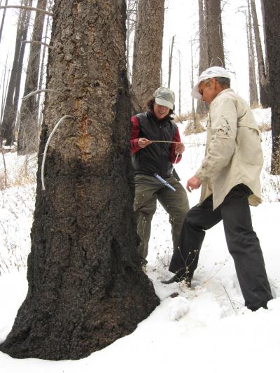 Connie Woodhouse and Mark Losleben, University of Arizona